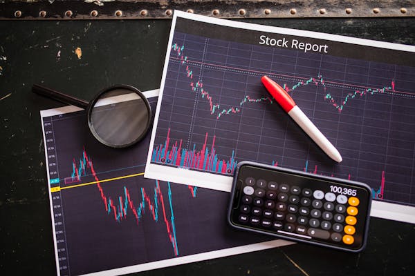 Chapter 8 - Stock Markets